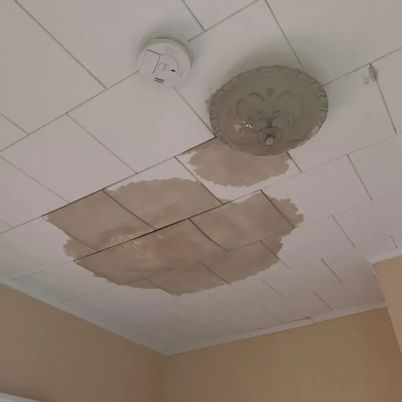 Ceiling Water Damage Repair in Walthourville, GA