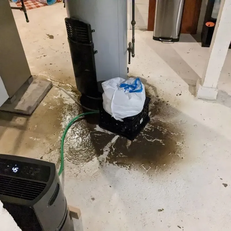 Sewage Backup Cleanup Service in Walthourville, GA